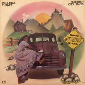 Ike & Tina Turner - Nutbush City Limits (1973)