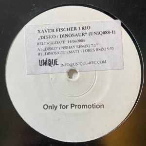 Xaver Fischer Trio - Disko / Dinosaur (Remixes) (2004)