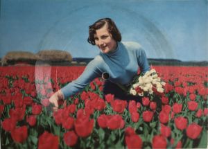 Unknown Artist - Melodie D'Amour