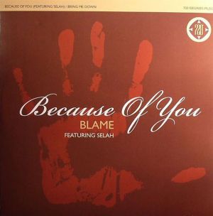 Blame / Selah - Because Of You (2009)