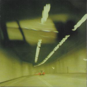 Voodoo Child - Baby Monkey (2004)