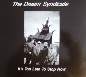 The Dream Syndicate - It's Too Late To Stop Now (1989)
