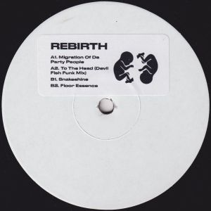 Rebirth - Bassex Selections (2024)