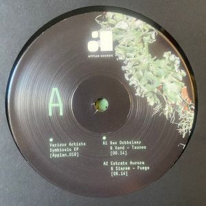 Various - Symbiosis EP (2025)