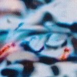 Shoal - Temporal Blend (2025)