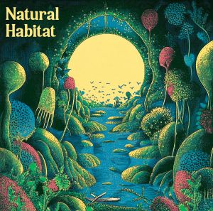 Indi Zone - Natural Habitat (2025)