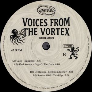 Various Artists - Voices From The Vortex (2025)