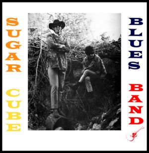 Sugar Cube Blues Band - Sugar Cube Blues Band (1995)