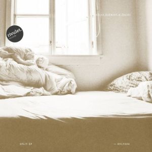 Stanley Schmidt / Talski - Split EP (2014)