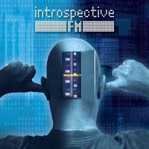 Introspective F.M. - Introspective F.M. (2014)