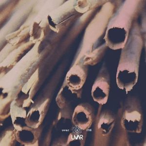 Sepp (2) - Timpuriu LP (2016)