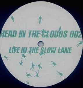 Damon Wild / Woody McBride - Life In The Slow Lane (1995)