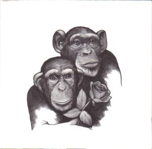 The Crash - Pony Ride (2006)