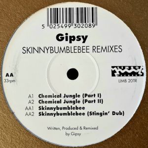 Gipsy - Skinnybumblebee Remixes (1993)