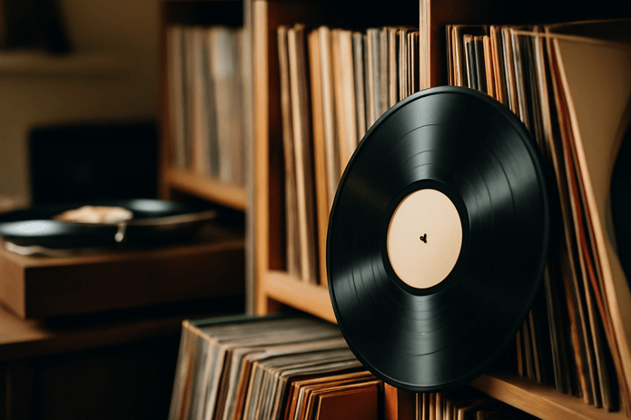 Best Way to Store Vinyl Records
